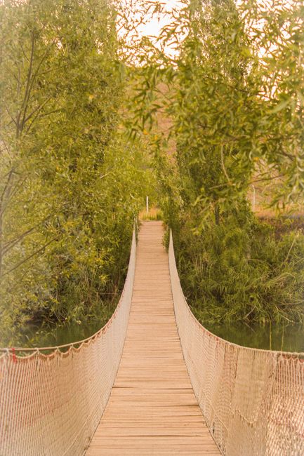 A narrow wooden footbridge with a smooth, light-colored surface, supported by woven rope railings on both sides, spans over a narrow waterway surrounded by dense green foliage and trees. The bridge leads towards a pathway or opening in the distance, with sunlight filtering through the leafy canopy above, casting a warm glow. This scene suggests an outdoor environment, possibly in a park or nature reserve, and is unrelated to house removals or moving services.