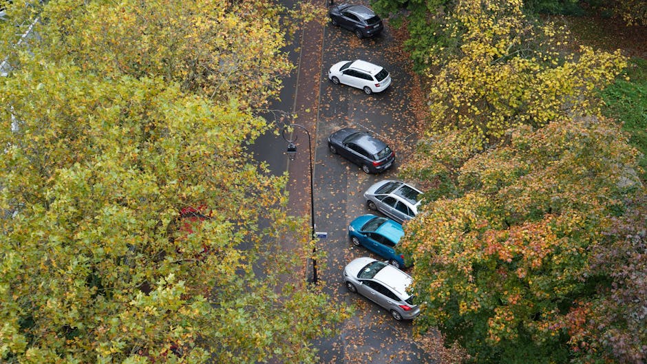 An aerial view of a residential parking area during autumn, showing five cars parked parallel along a narrow, paved street bordered by trees with yellow, orange, and green foliage. The pavement is scattered with fallen leaves, and a black van is being loaded or unloaded with household items for a home relocation, with bulky furniture wrapped in protective blankets visible on the driveway. A man is working to carry or position moving boxes and pieces of furniture, using equipment such as trolleys or straps, with some cardboard boxes and packing materials nearby. The local environment suggests an urban or suburban neighbourhood setting, with trees providing partial cover over the parked vehicles. The scene reflects the logistics of furniture transport and packing during a professional removals process as provided by Man With a Van Wood Green, supporting house moves in the Haringey Council area, specifically related to parking suspensions for moving activities.