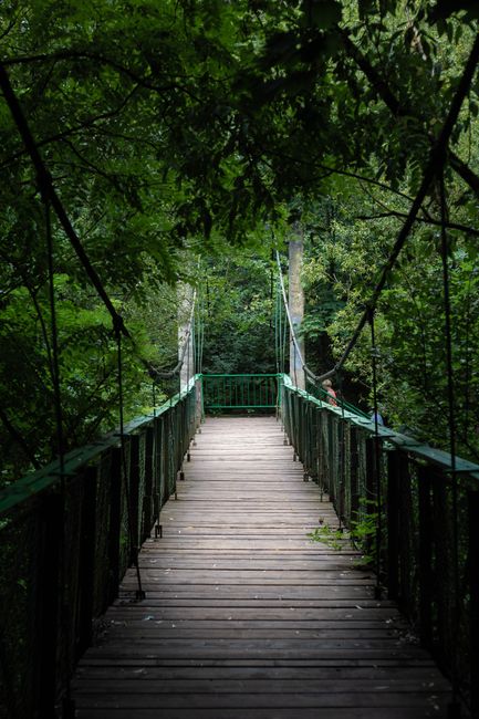 A narrow wooden footbridge with a smooth, light-colored surface, supported by woven rope railings on both sides, spans over a narrow waterway surrounded by dense green foliage and trees. The bridge leads towards a pathway or opening in the distance, with sunlight filtering through the leafy canopy above, casting a warm glow. This scene suggests an outdoor environment, possibly in a park or nature reserve, and is unrelated to house removals or moving services.